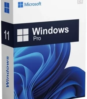 DSP-WIN11-PRO64