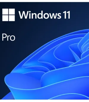 ESD-WIN11-PRO