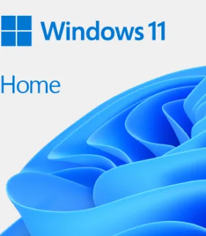 Microsoft Microsoft Windows11 Home64Bit DSP